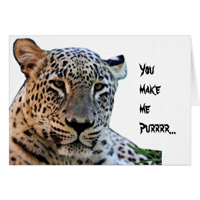 Leoparddrucke (Vorderseite (Horizontal))