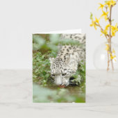 Leoparden aus Foto , Tiere .karte Karte (Gelbe Blume)