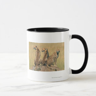 Leoparden, die weg schauen tasse