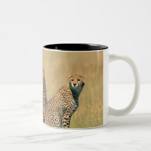 Leoparden, die weg schauen zweifarbige tasse
