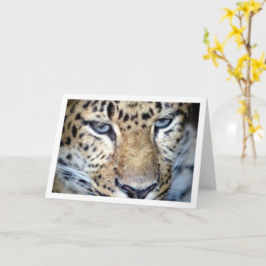 Leoparden Gesicht Karte (Gelbe Blume)