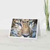 Leoparden Gesicht Karte (Vorderseite)