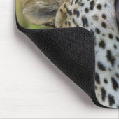 Leoparden, Greater Krüger National Park, 2 Mousepad (Ecke)