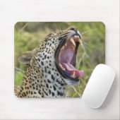 Leoparden, Greater Krüger National Park, 2 Mousepad (Mit Mouse)