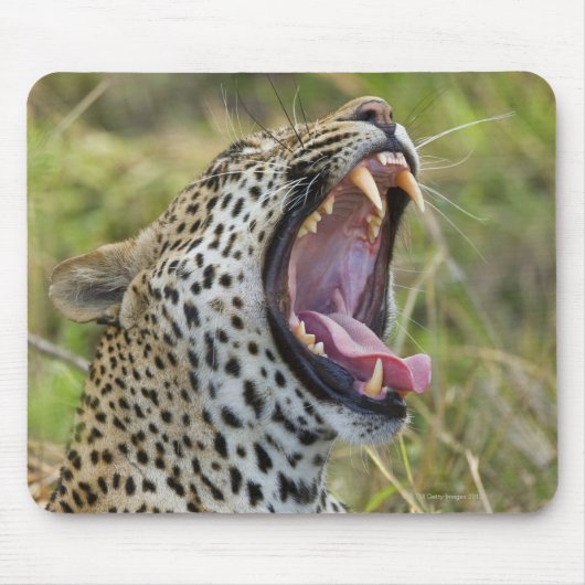 Leoparden, Greater Krüger National Park, 2 Mousepad (Vorne)