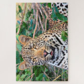 Leoparden große Katzen. Jigsaw Puzzle (Vertikal)