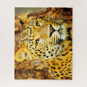 Leoparden große Katzen. Puzzle (Vertikal)