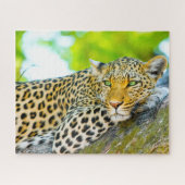 Leoparden große Katzen. Puzzle (Horizontal)