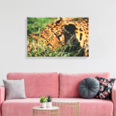 Leoparden im Gras Leinwanddruck (Insitu (Wohnzimmer))