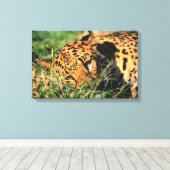 Leoparden im Gras Leinwanddruck (Insitu (Holzboden))