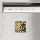 Leoparden im Gras Magnet (In Situ (Geschirrspüler))