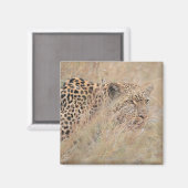 Leoparden im Grasland verhüten Magnet (Vorderseite/Rückseite)