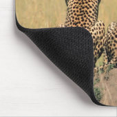 Leoparden Mousepad (Ecke)
