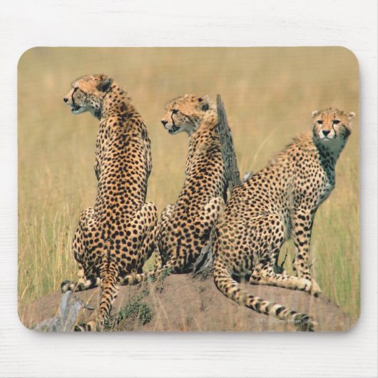 Leoparden Mousepad (Vorne)