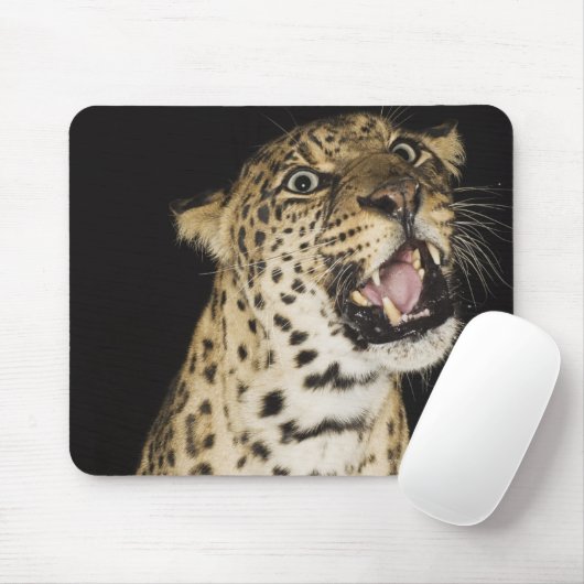 Leoparden Mousepad (Mit Mouse)