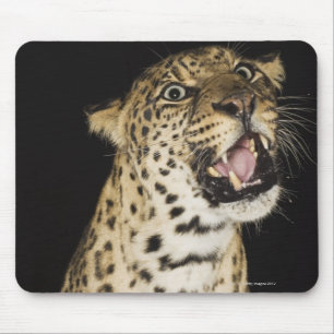 Leoparden Mousepad
