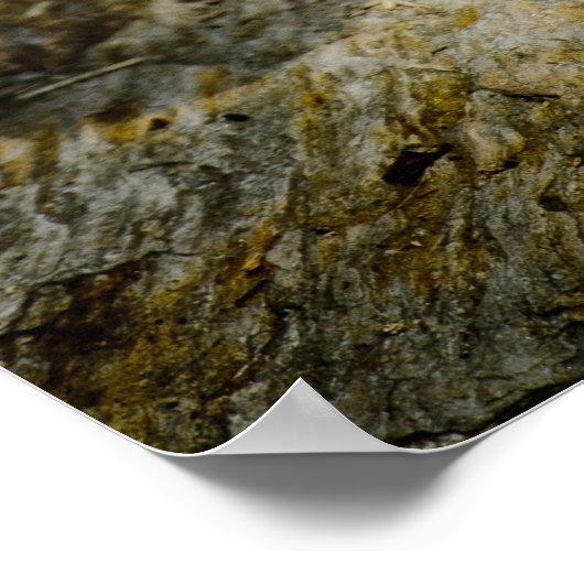 Leoparden-Plakat Poster (Ecke)