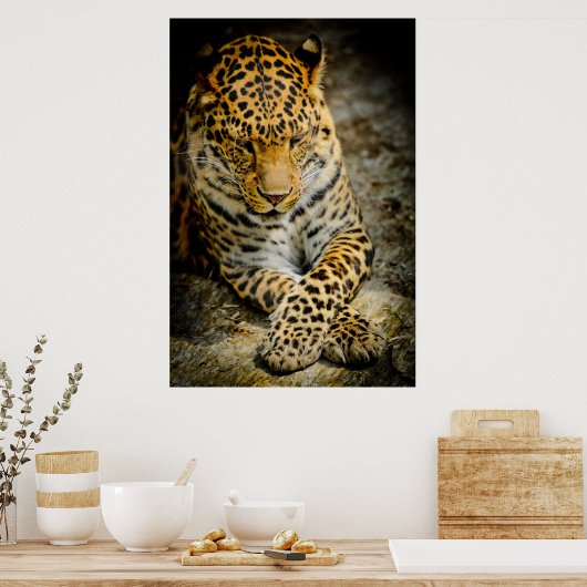 Leoparden-Plakat Poster (Küche)
