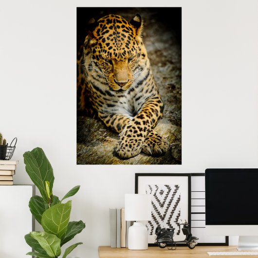 Leoparden-Plakat Poster (Heimbüro)