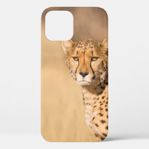 LEOPARDEN PORTRÄT Case-Mate iPhone HÜLLE