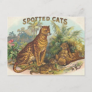Leoparden Postkarte