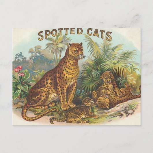 Leoparden Postkarte (Vorderseite)