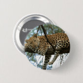 Leoparden-Ruhen im Baum Button (Vorne & Hinten)