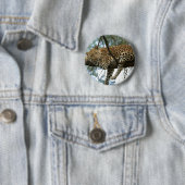 Leoparden-Ruhen im Baum Button (Beispiel)