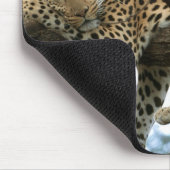 Leoparden-Ruhen im Baum Mousepad (Ecke)