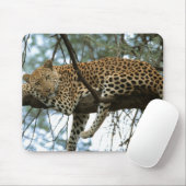 Leoparden-Ruhen im Baum Mousepad (Mit Mouse)