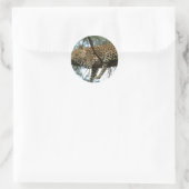 Leoparden-Ruhen im Baum Runder Aufkleber (Tasche)