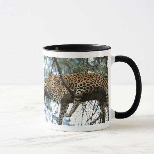 Leoparden-Ruhen im Baum Tasse (Rechts)