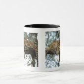 Leoparden-Ruhen im Baum Tasse (Zentrum)
