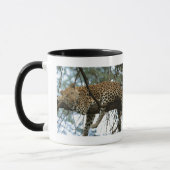 Leoparden-Ruhen im Baum Tasse (Links)