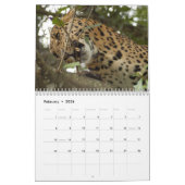 Leoparden tragen, Leoparden ein Kalender (Feb 2026)