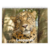 Leoparden tragen, Leoparden ein Kalender (Titelbild)