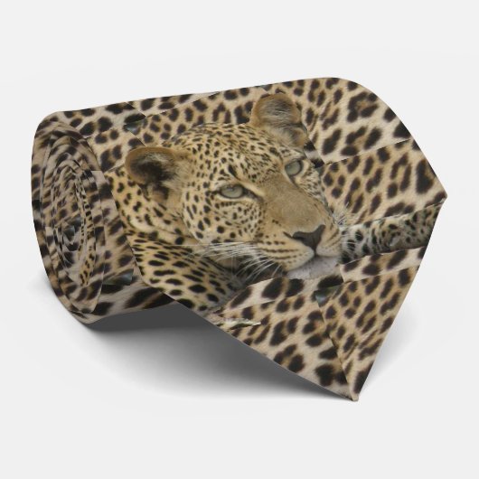 Leoparden u. Stellen Krawatte (Gerollt)