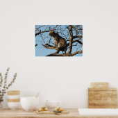 Leoparden während des Sitzens auf einem Baumstreif Poster (Küche)
