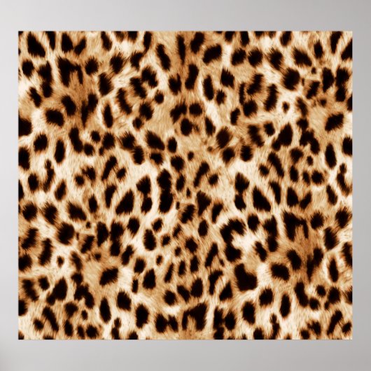 Leopardenhaut, authentisches Wildtiermuster. Poster (Vorne)