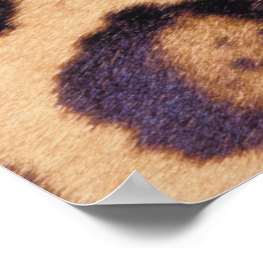 Leopardenhaut Poster (Ecke)