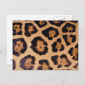 Leopardenhaut Postkarte (Vorne/Hinten)