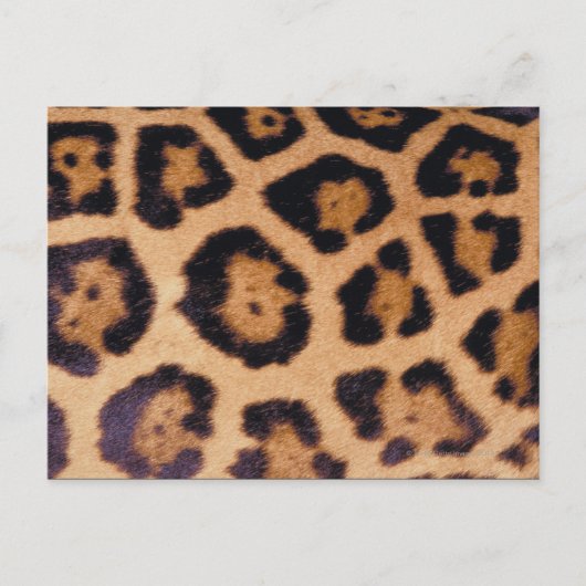 Leopardenhaut Postkarte (Vorderseite)