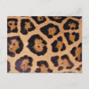 Leopardenhaut Postkarte