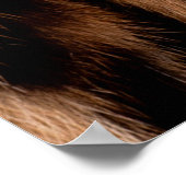 Leopardenhautstruktur: Naher Leopardenfleck Poster (Ecke)