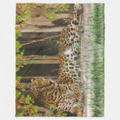 Leopardenkatze (60" x 80") Fleece Blanket (Vorderseite)