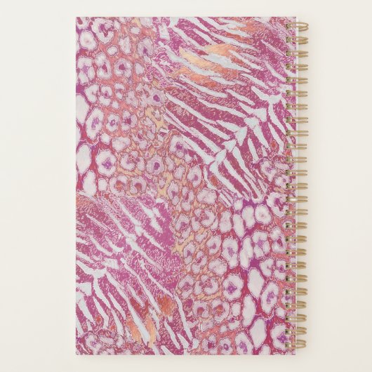 Leopardenledermode Planer (Rückseite)