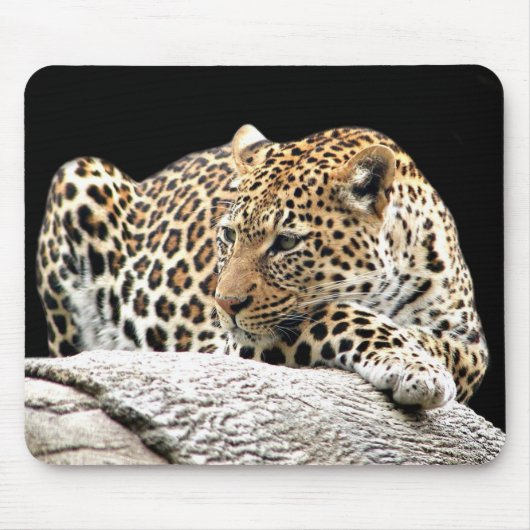 Leopardenmousepad Mousepad (Vorne)