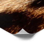 Leopardenpelz Poster (Ecke)