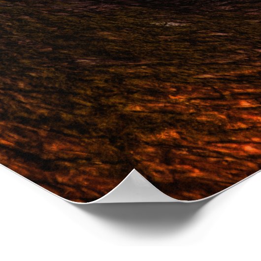 Leopardenposter Poster (Ecke)