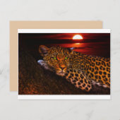 Leopardenpostkarte Postkarte (Vorne/Hinten)
